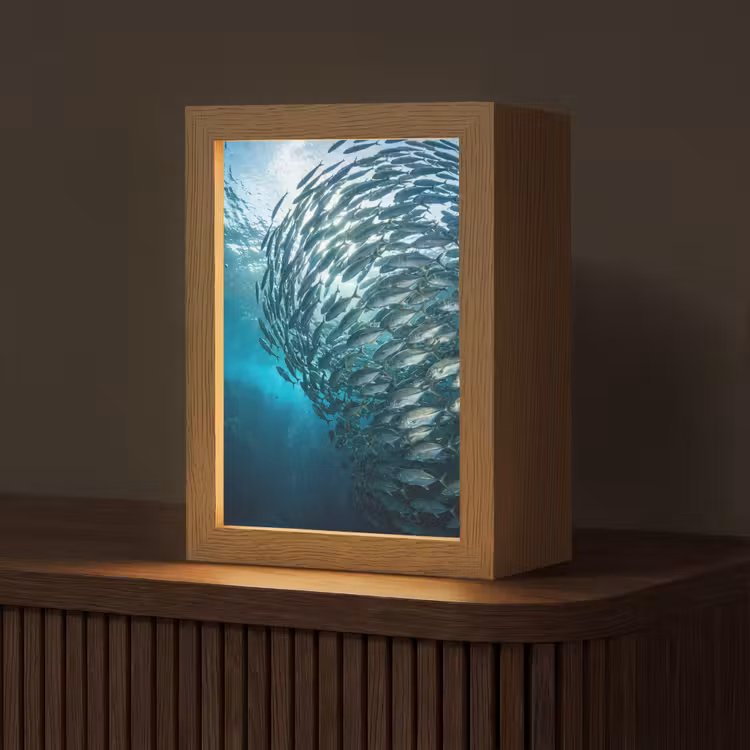 Vis - School - Oceaan - Natuur - Blauw Light Box met kabel (Tafellamp) klein -z3d_website