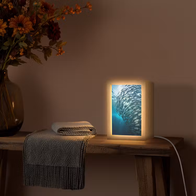 Vis - School - Oceaan - Natuur - Blauw Light Box met kabel (Tafellamp) klein -sfeer4
