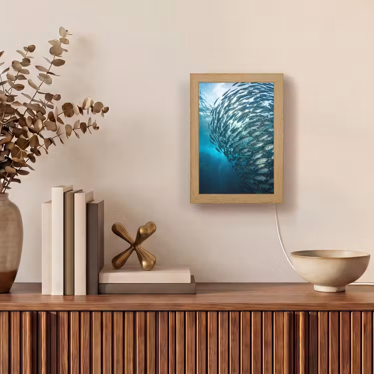Vis - School - Oceaan - Natuur - Blauw Light Box met kabel (Tafellamp) klein -sfeer2