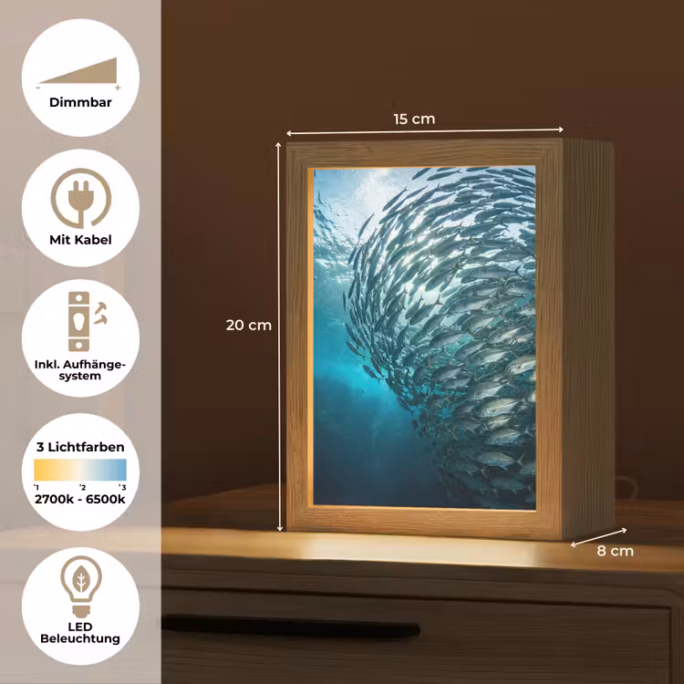 Vis - School - Oceaan - Natuur - Blauw Light Box met kabel (Tafellamp) klein -USP_DE