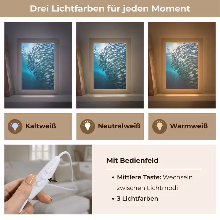 Vis - School - Oceaan - Natuur - Blauw Light Box met kabel (Tafellamp) klein -USP_lichtkleurDE