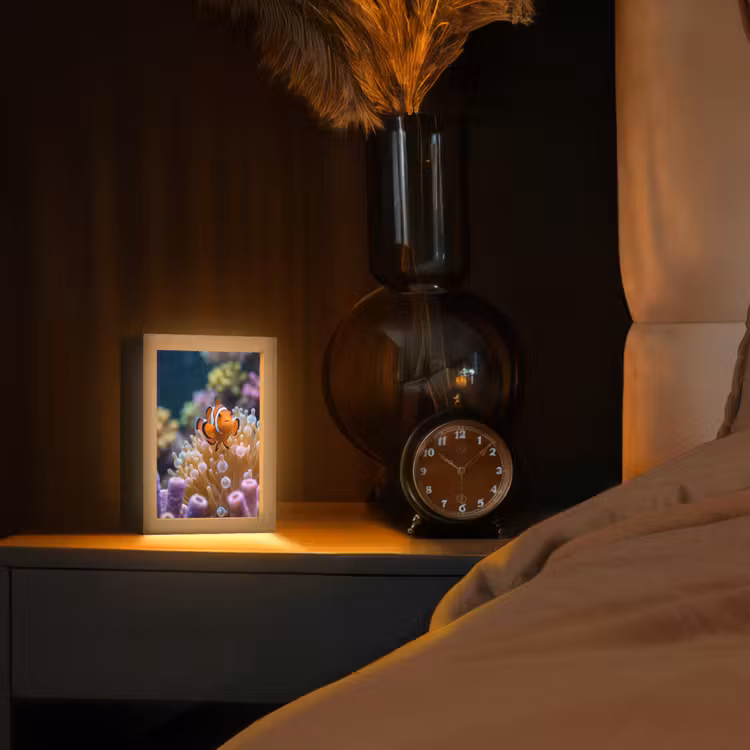 Vis - Koraal - Onderwater - Oranje - Dieren Light Box met kabel (Tafellamp) klein -sfeer1