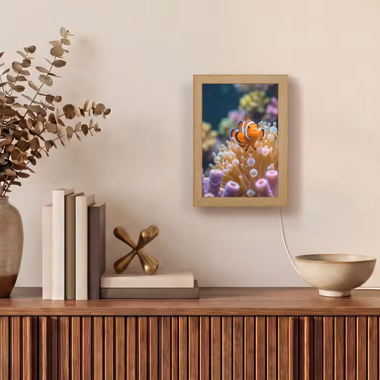 Vis - Koraal - Onderwater - Oranje - Dieren Light Box met kabel (Tafellamp) klein -sfeer2