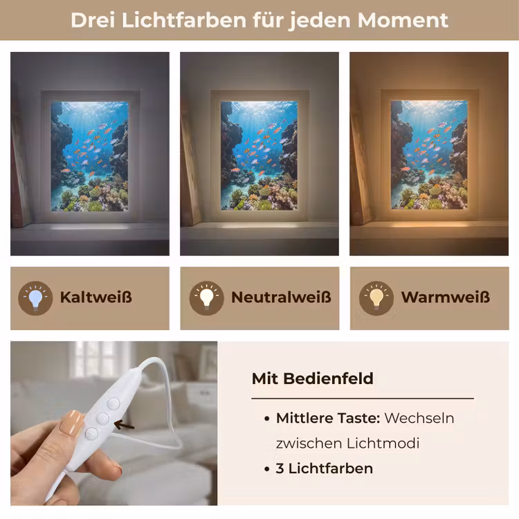 Vis - Koraalrif - Onderwater - Levendig - Blauw Light Box met kabel (Tafellamp) klein -USP_lichtkleurDE