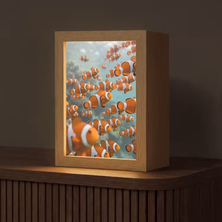 Vis - School - Onderwater - Dieren - Oranje Light Box met kabel (Tafellamp) klein -z3d_website