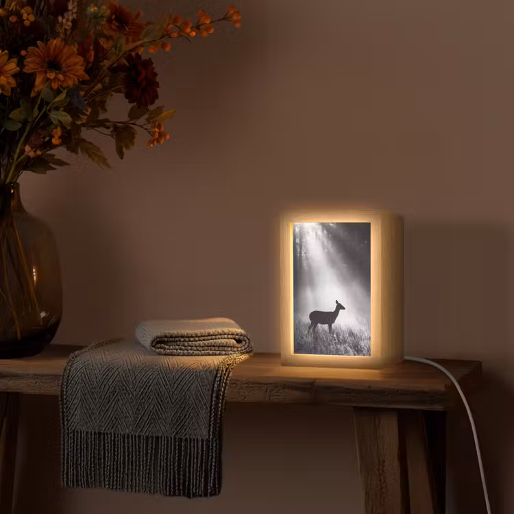 Hert - Bos - Zonnestralen - Zwart-wit - Natuur Light Box met kabel (Tafellamp) klein -sfeer4