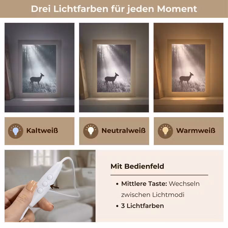 Hert - Bos - Zonnestralen - Zwart-wit - Natuur Light Box met kabel (Tafellamp) klein -USP_lichtkleurDE