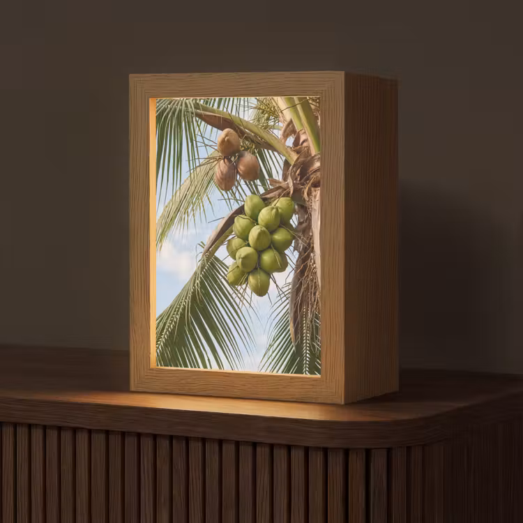 Personalisierte Lightbox - Kokosnuss – Baum – Tropisch – Natur – Grün - Kokosnoot - Boom - Tropisch - Natuur - Groen Light Box met kabel (Tafellamp) klein