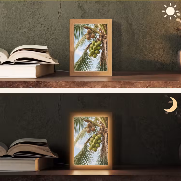 Personalisierte Lightbox - Kokosnuss – Baum – Tropisch – Natur – Grün - Kokosnoot - Boom - Tropisch - Natuur - Groen Light Box met kabel (Tafellamp) klein