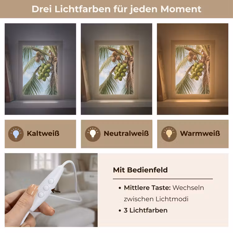 Personalisierte Lightbox - Kokosnuss – Baum – Tropisch – Natur – Grün - Kokosnoot - Boom - Tropisch - Natuur - Groen Light Box met kabel (Tafellamp) klein