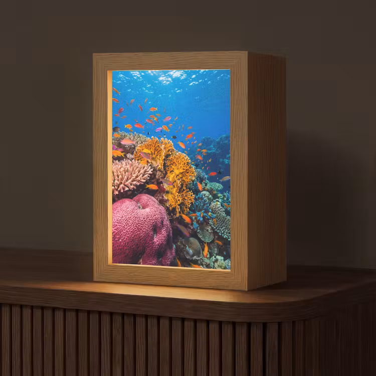 Koraal - Vissen - Oceaan - Natuur - Kleurrijk Light Box met kabel (Tafellamp) klein -z3d_website