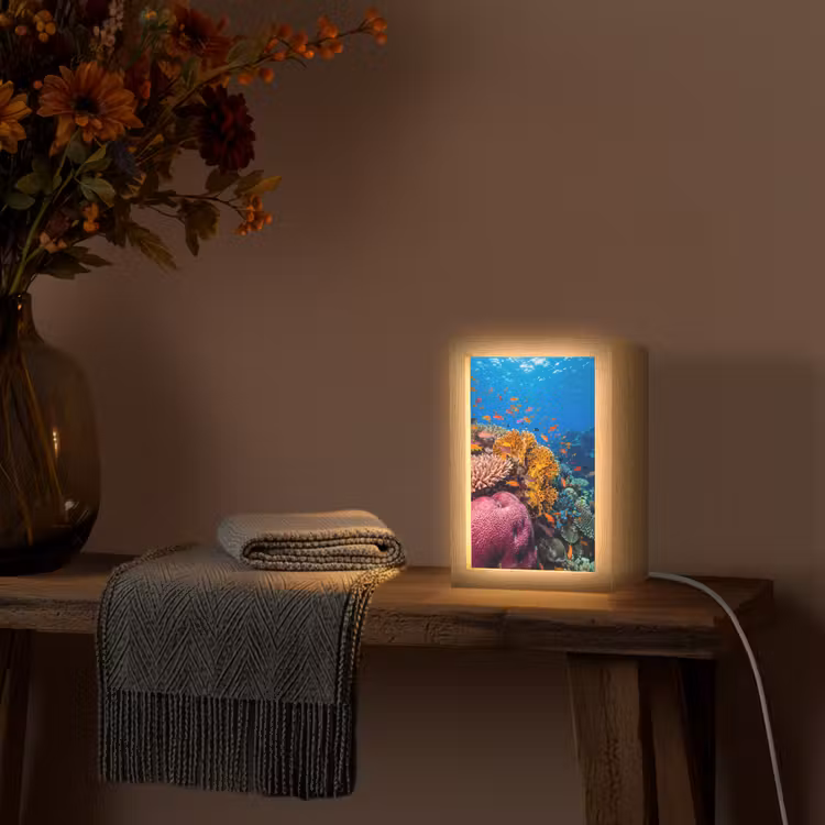 Koraal - Vissen - Oceaan - Natuur - Kleurrijk Light Box met kabel (Tafellamp) klein -sfeer4