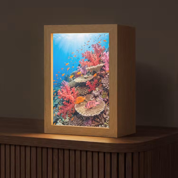 Koraalrif - Vissen - Onderwater - Tropisch - Rood Light Box met kabel (Tafellamp) klein -z3d_website