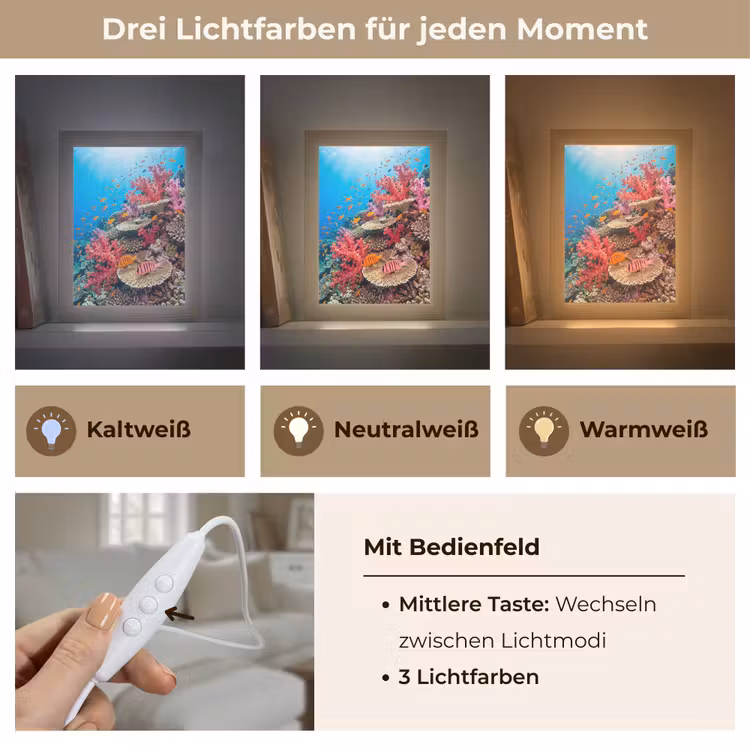 Koraalrif - Vissen - Onderwater - Tropisch - Rood Light Box met kabel (Tafellamp) klein -USP_lichtkleurDE