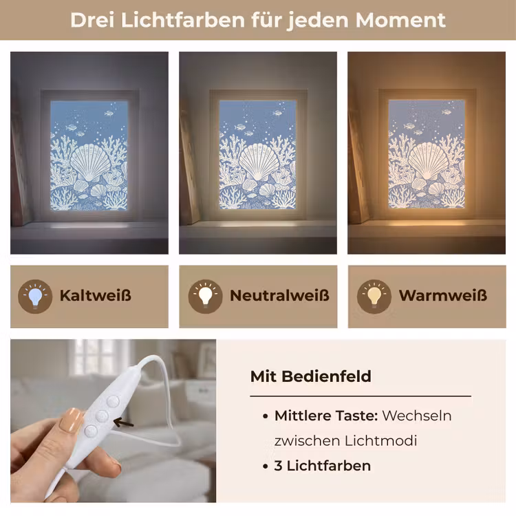 Zeeleven - Koraal - Schelp - Vis - Illustratie - Onderwater Light Box met kabel (Tafellamp) klein -USP_lichtkleurDE