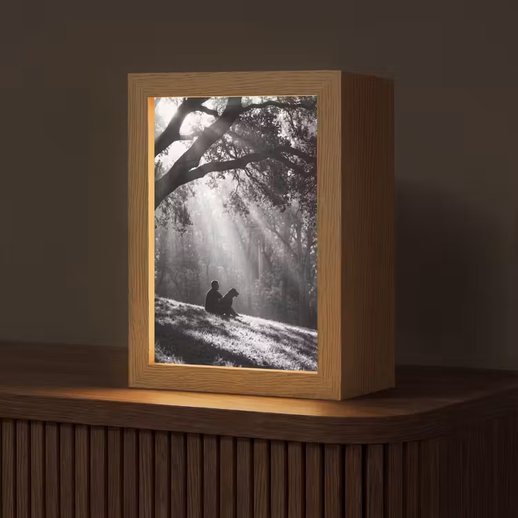Mens - Hond - Natuur - Zwart-wit - Silhouet Light Box met kabel (Tafellamp) klein -z3d_website