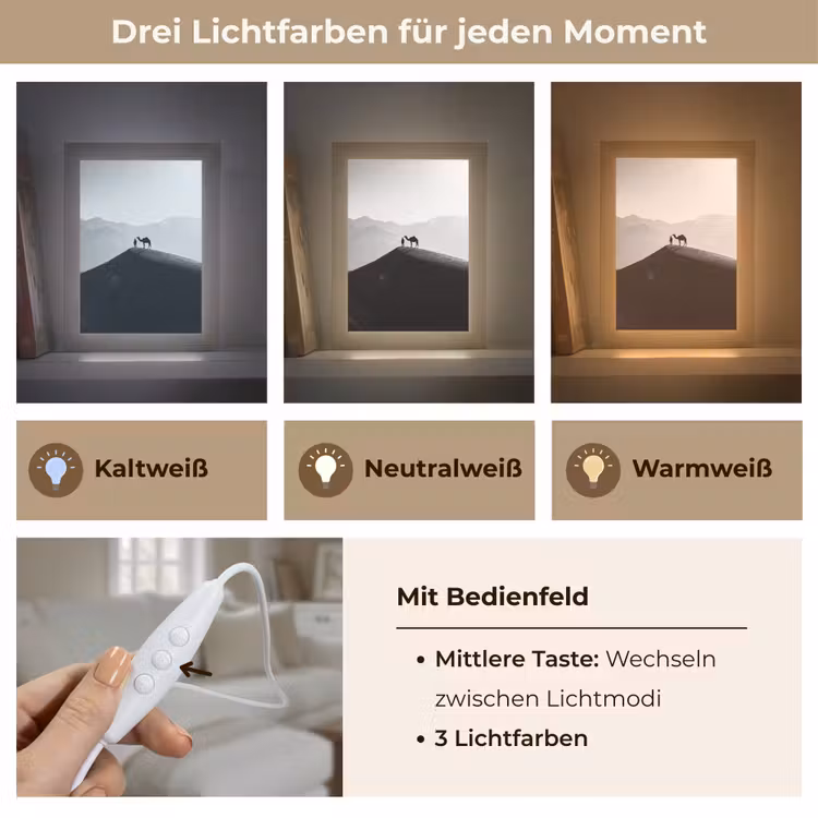Mens - Kameel - Zandduin - Natuur - Monochroom Light Box met kabel (Tafellamp) klein -USP_lichtkleurDE