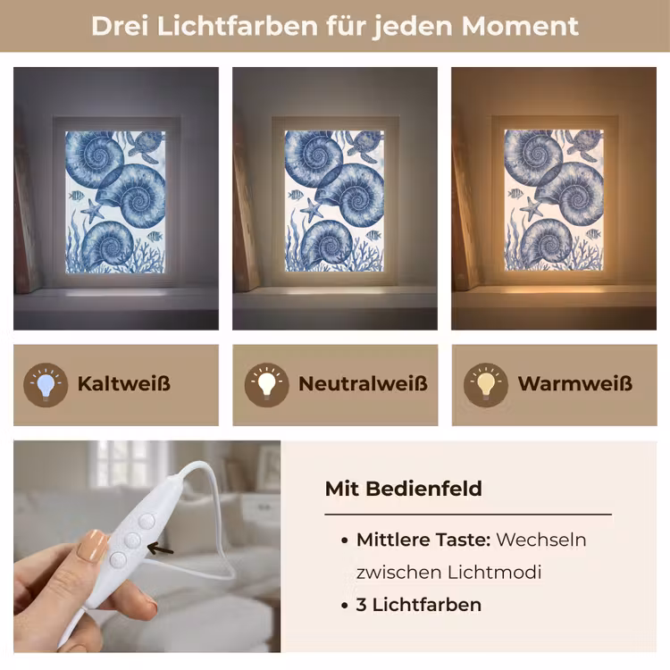 Schelp - Spiraal - Zeeleven - Aquarel - Blauw Light Box met kabel (Tafellamp) klein -USP_lichtkleurDE
