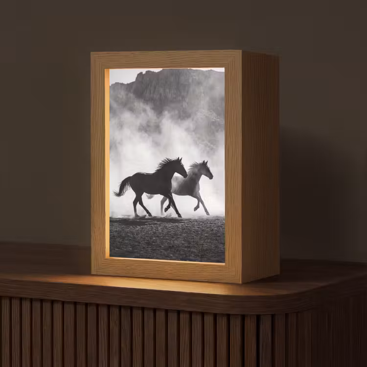Paard - Ren - Stof - Zwart-wit - Dieren Light Box met kabel (Tafellamp) klein -z3d_website