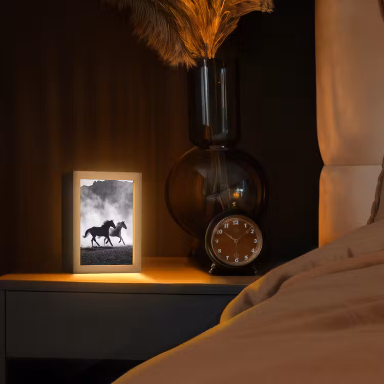 Paard - Ren - Stof - Zwart-wit - Dieren Light Box met kabel (Tafellamp) klein -sfeer1