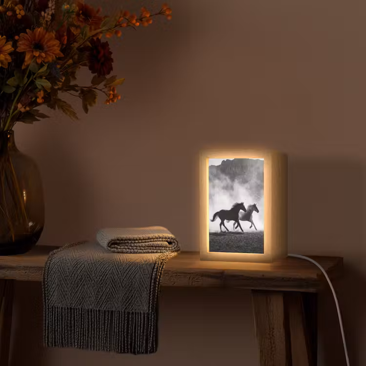 Paard - Ren - Stof - Zwart-wit - Dieren Light Box met kabel (Tafellamp) klein -sfeer4