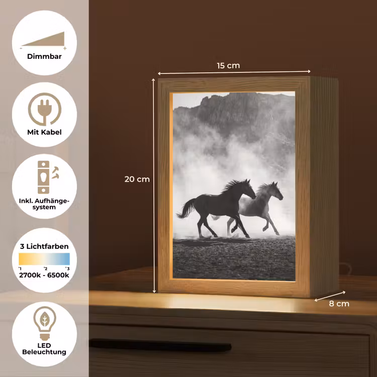 Paard - Ren - Stof - Zwart-wit - Dieren Light Box met kabel (Tafellamp) klein -USP_DE