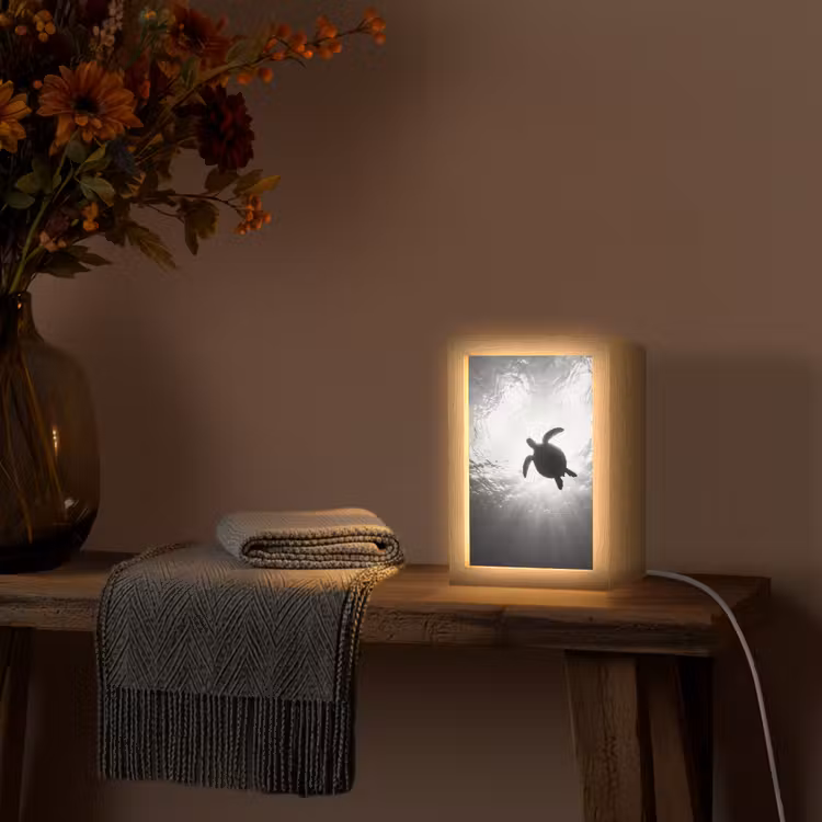 Schildpad - Onderwater - Lichtstralen - Oceaan - Zwart-wit Light Box met kabel (Tafellamp) klein -sfeer4