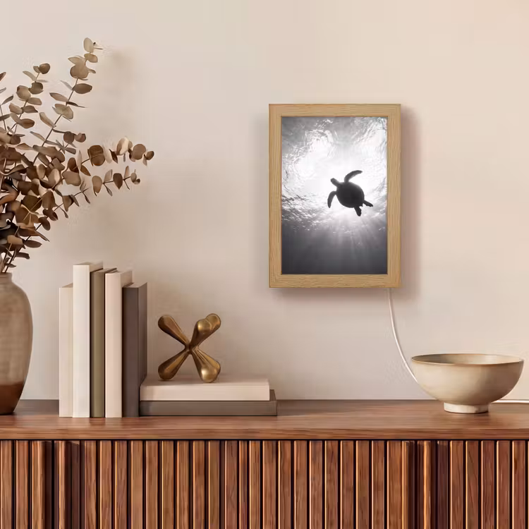 Schildpad - Onderwater - Lichtstralen - Oceaan - Zwart-wit Light Box met kabel (Tafellamp) klein -sfeer2