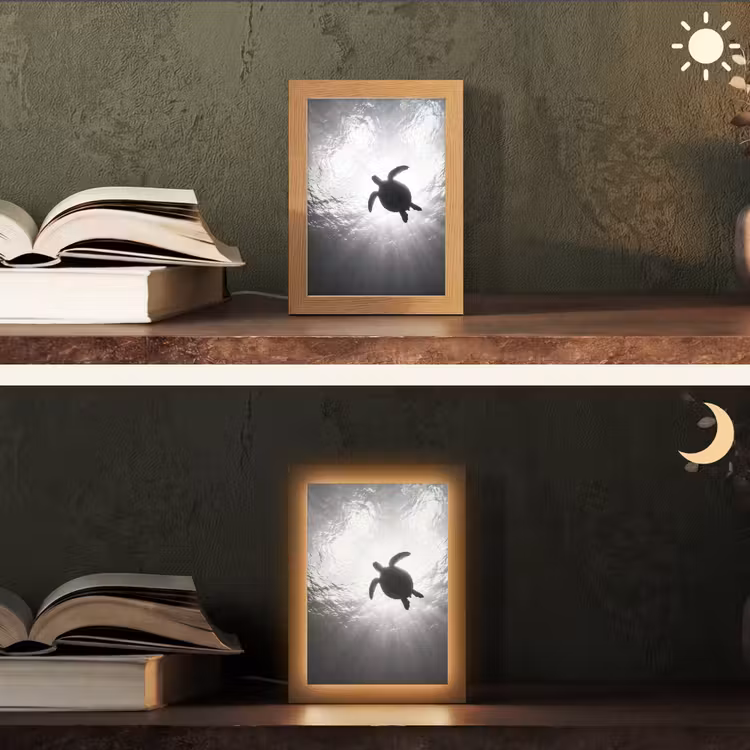 Schildpad - Onderwater - Lichtstralen - Oceaan - Zwart-wit Light Box met kabel (Tafellamp) klein -sfeer3