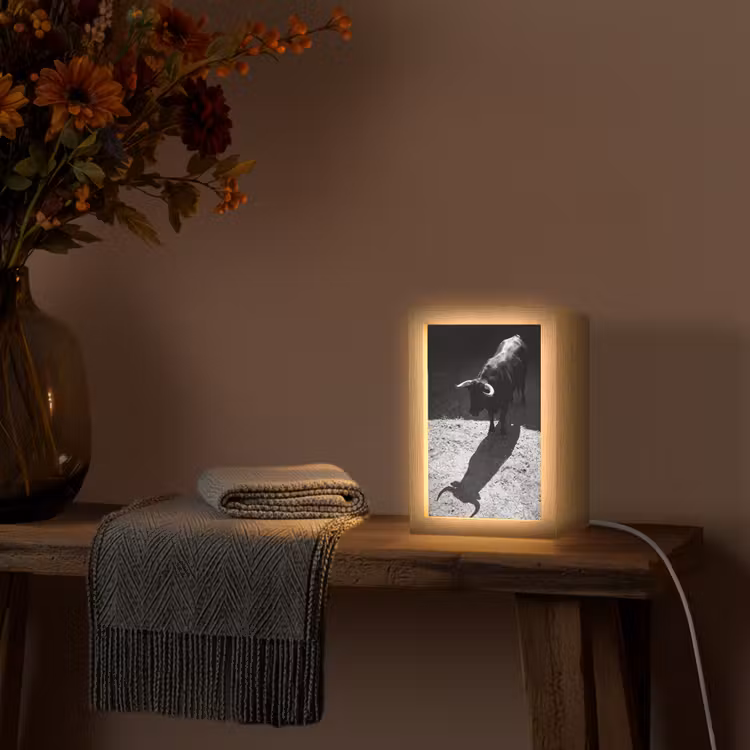 Stier - Schaduw - Dieren - Contrast - Zwart-wit Light Box met kabel (Tafellamp) klein -sfeer4