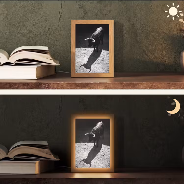 Stier - Schaduw - Dieren - Contrast - Zwart-wit Light Box met kabel (Tafellamp) klein -sfeer3