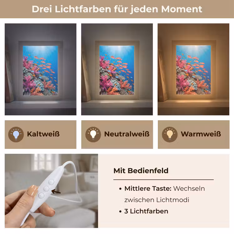 Onderwater - Koraalrif - Vissen - Oceaan - Natuur Light Box met kabel (Tafellamp) klein -USP_lichtkleurDE