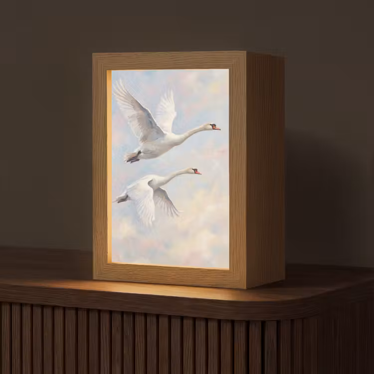 Vogel - Vliegend - Lucht - Modern - Pastel Light Box met kabel (Tafellamp) klein -z3d_website