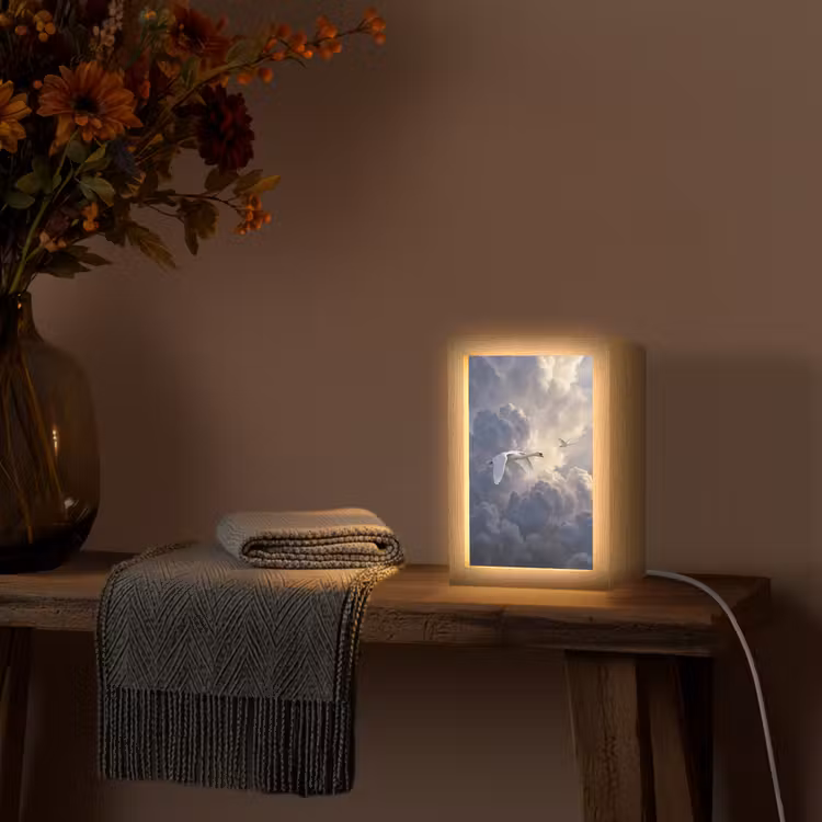 Vogel - Vliegend - Natuur - Wit - Wolken Light Box met kabel (Tafellamp) klein -sfeer4