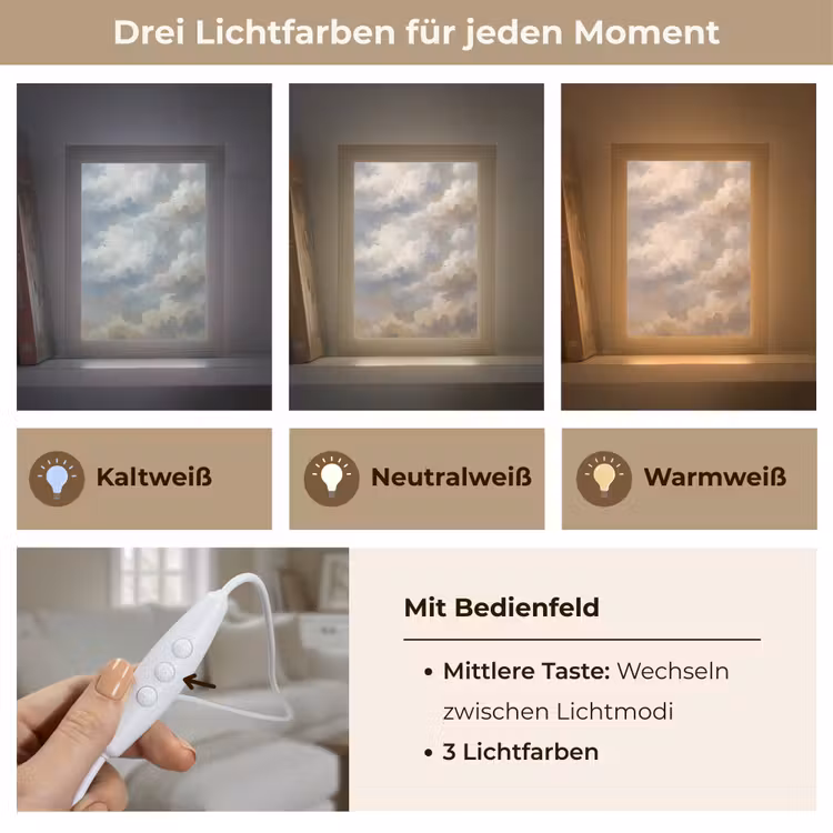 Vogel - Wolken - Natuur - Modern - Grijs Light Box met kabel (Tafellamp) klein -USP_lichtkleurDE