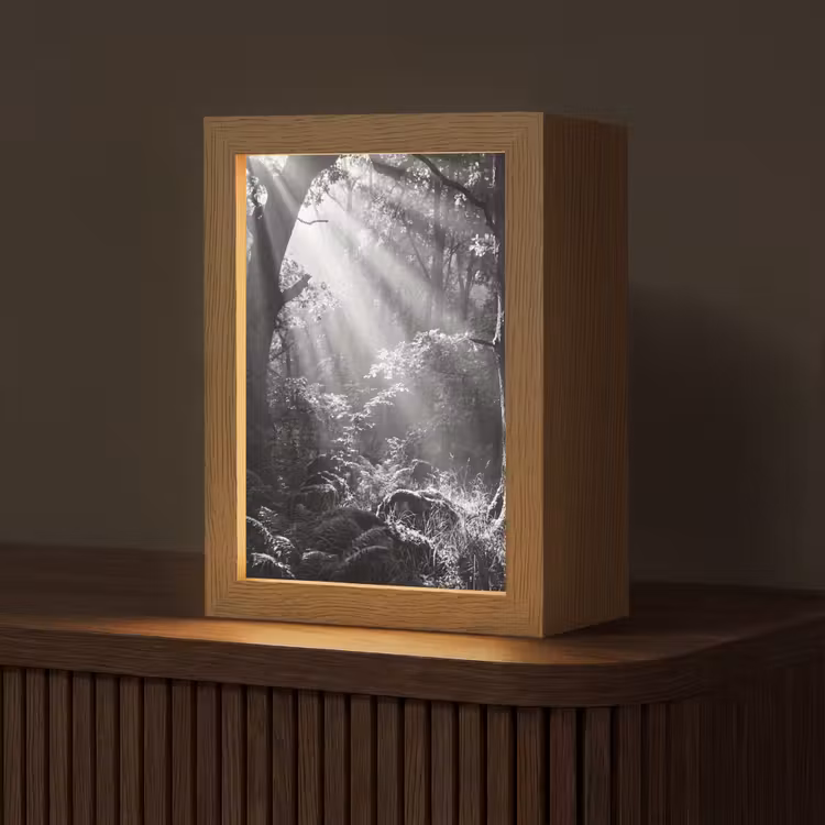 Bos - Lichtstralen - Natuur - Zwart-wit Light Box met kabel (Tafellamp) klein -z3d_website