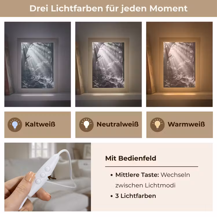 Bos - Lichtstralen - Natuur - Zwart-wit Light Box met kabel (Tafellamp) klein -USP_lichtkleurDE