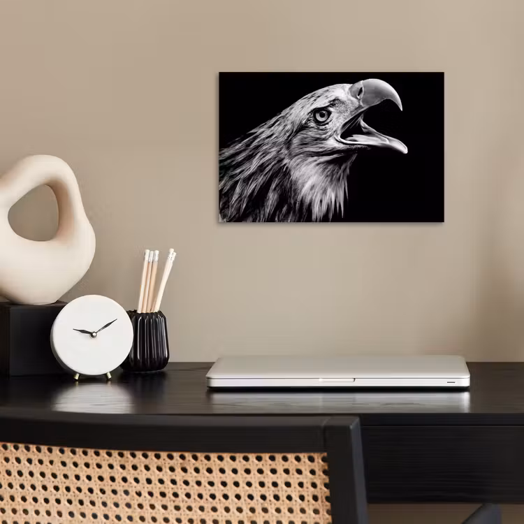 Adelaar - Portret - Roofvogels - Zwart - Wit - Vogel poster papier klein -sfeer1
