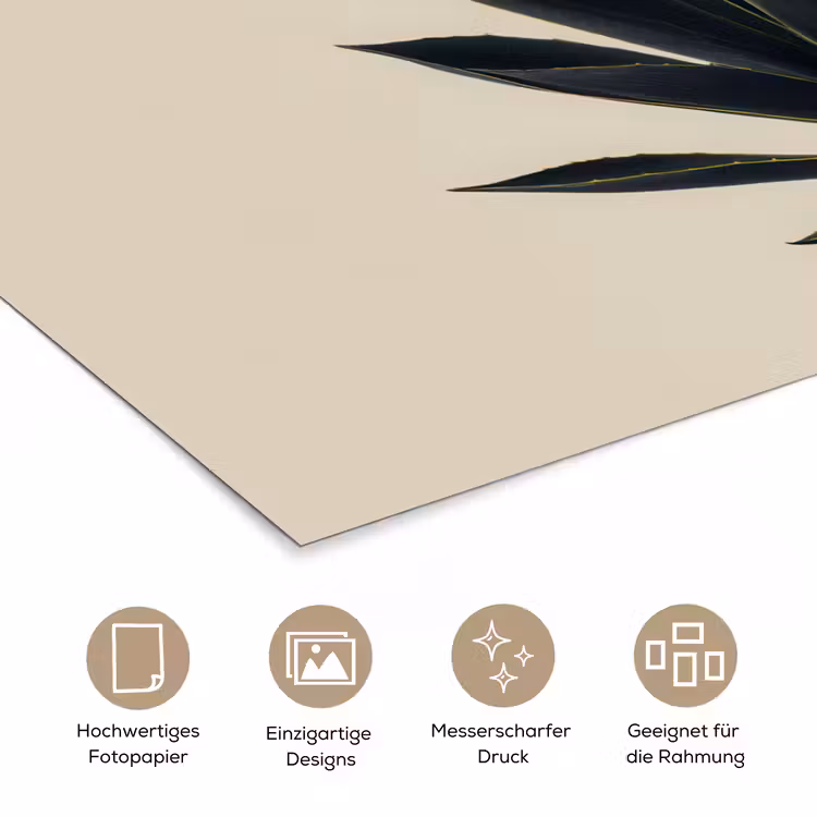 Agaveplant - Symmetrisch - Groen poster papier klein -tcloseup_DE