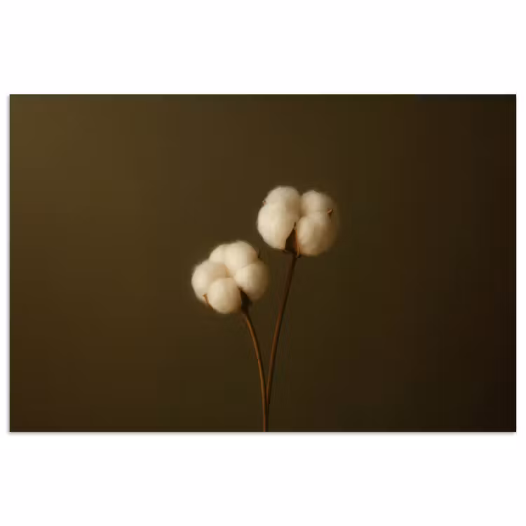 Takken - Katoen - Wit - Bollen poster papier klein -3d