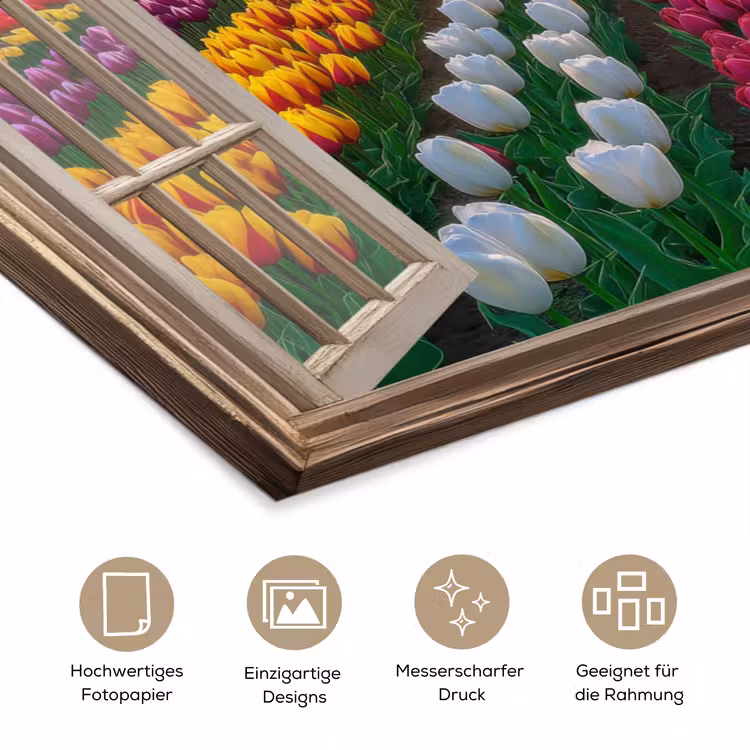 Doorkijk - Bloemen - Tulpen - Kleurrijk - Zonsondergang poster papier klein -tcloseup_DE