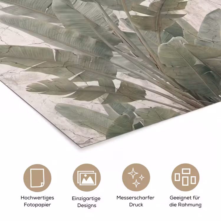 Bananenbladeren - Beton - Groen poster papier klein -tcloseup_DE