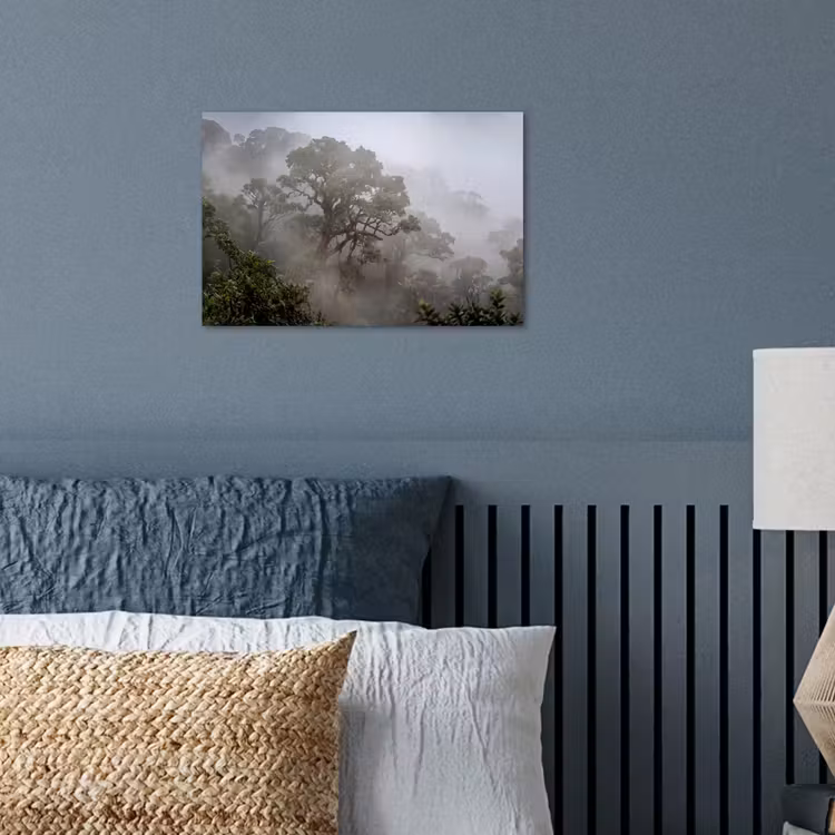 Boom - Mistig - Bos - Groen - Natuur poster papier klein -sfeer2