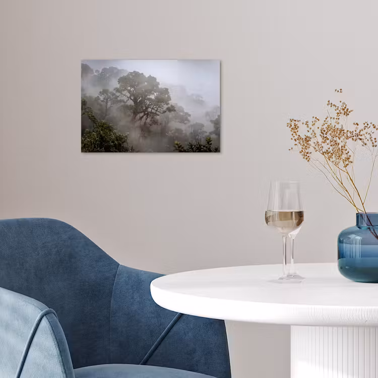 Boom - Mistig - Bos - Groen - Natuur poster papier klein -sfeer3