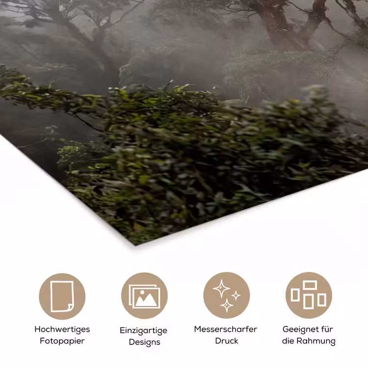 Boom - Mistig - Bos - Groen - Natuur poster papier klein -tcloseup_DE
