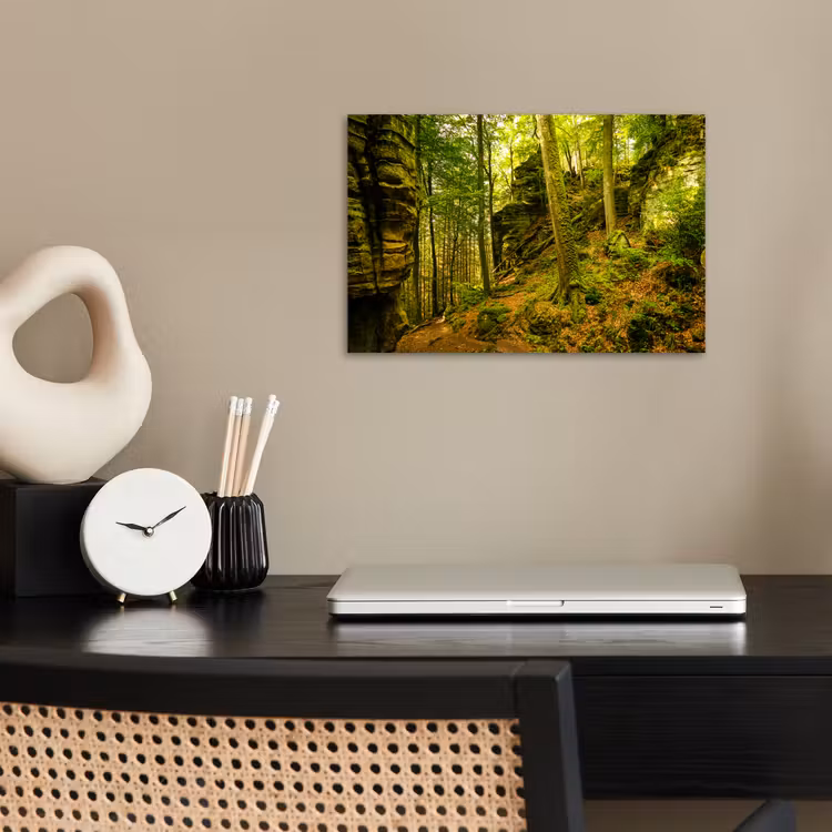 Bomen - Steen - Bos - Natuur - Planten poster papier klein -sfeer1