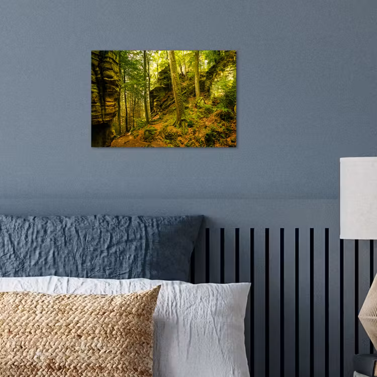 Bomen - Steen - Bos - Natuur - Planten poster papier klein -sfeer2