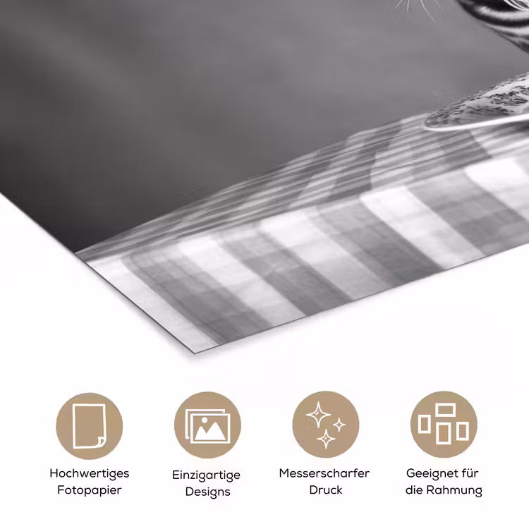 Bengaal - Kat - Tafelkleed - Zwart - Wit - Dier poster papier klein -tcloseup_DE