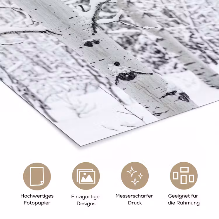 Berkenbomen - Sneeuw - Winter - Bos - Wit poster papier klein -tcloseup_DE