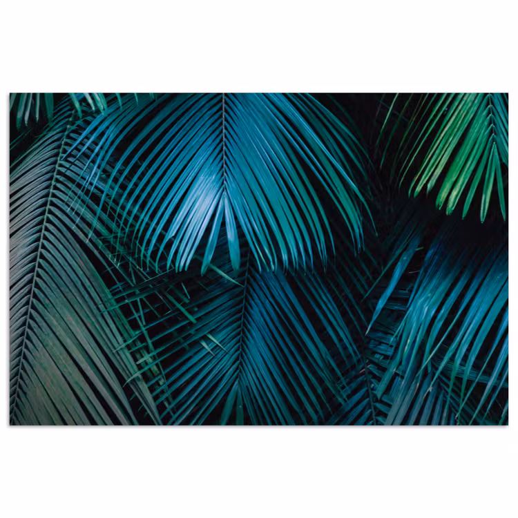 Bladeren - Tropisch - Jungle poster papier klein -3d
